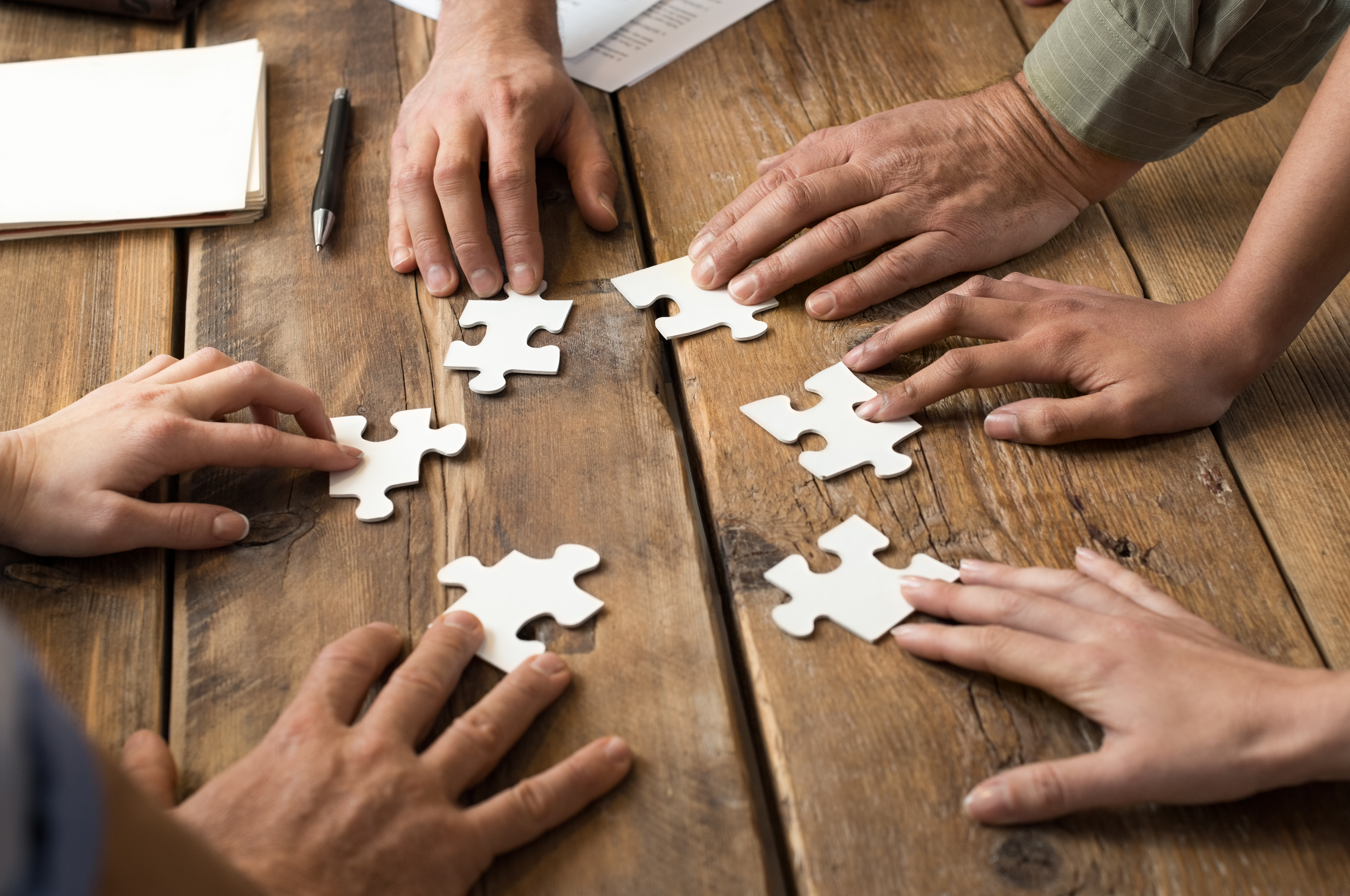 competency development plan can be like puzzle pieces