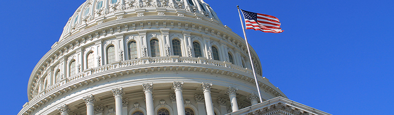 U.S. Government Capitol and what matters when choosing a competency management system