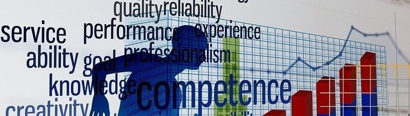 Competency Management: Understanding the Return on Effort